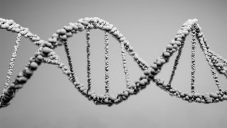 Les Polynucléotides Injectables : Une Innovation en Médecine Esthétique pour une Peau Régénérée